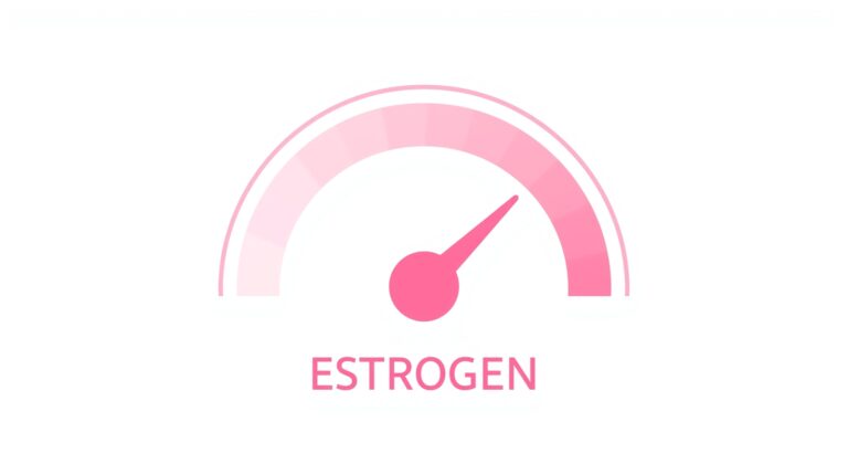 A clean and minimal graphic chart of estrogen